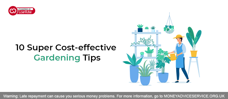 10 Super Cost-effective Gardening Tips