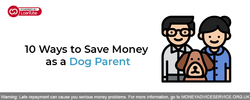 10 Ways to Save Money as a Dog Parent